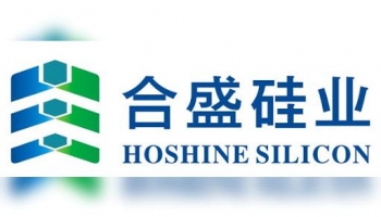 Hoshine Silicon