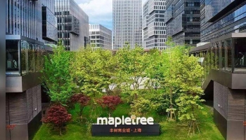 Mapletree