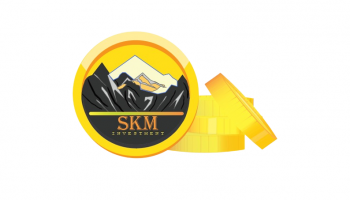 SKM Investment Limited