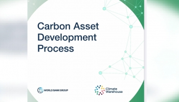 Carbon Asset De