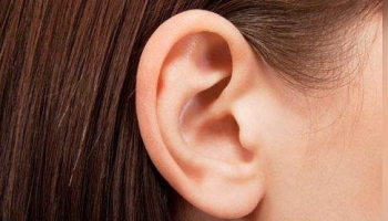 ear