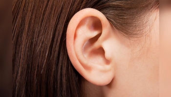 ear
