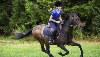 to ride a horse