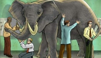 blind people touch an elephant (idiom)