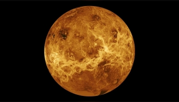 Life on Venus ?