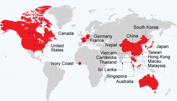 Global Pandemic