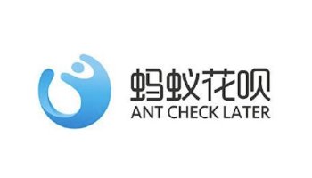 Ant Check Later