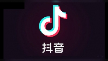 TikTok Borrow U