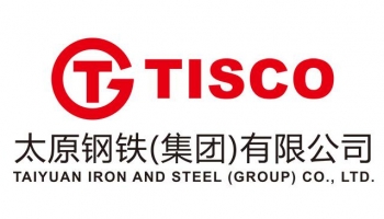 Taiyuan Iron and Steel Group